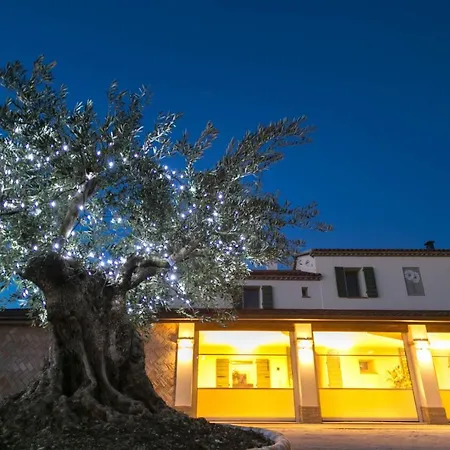 Agriturismo Le Margherite Farma
