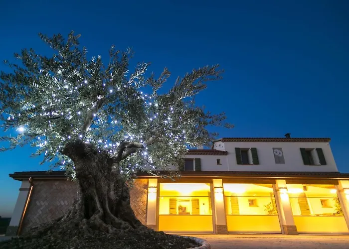Agriturismo Le Margherite Lantgård
